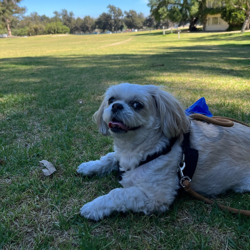 Meet your Posher, Paige